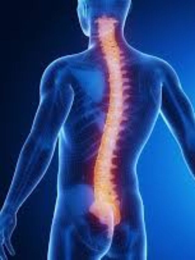 Scientists Grow First Human Spine in the Lab