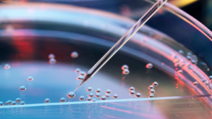 artificial human embryos in space